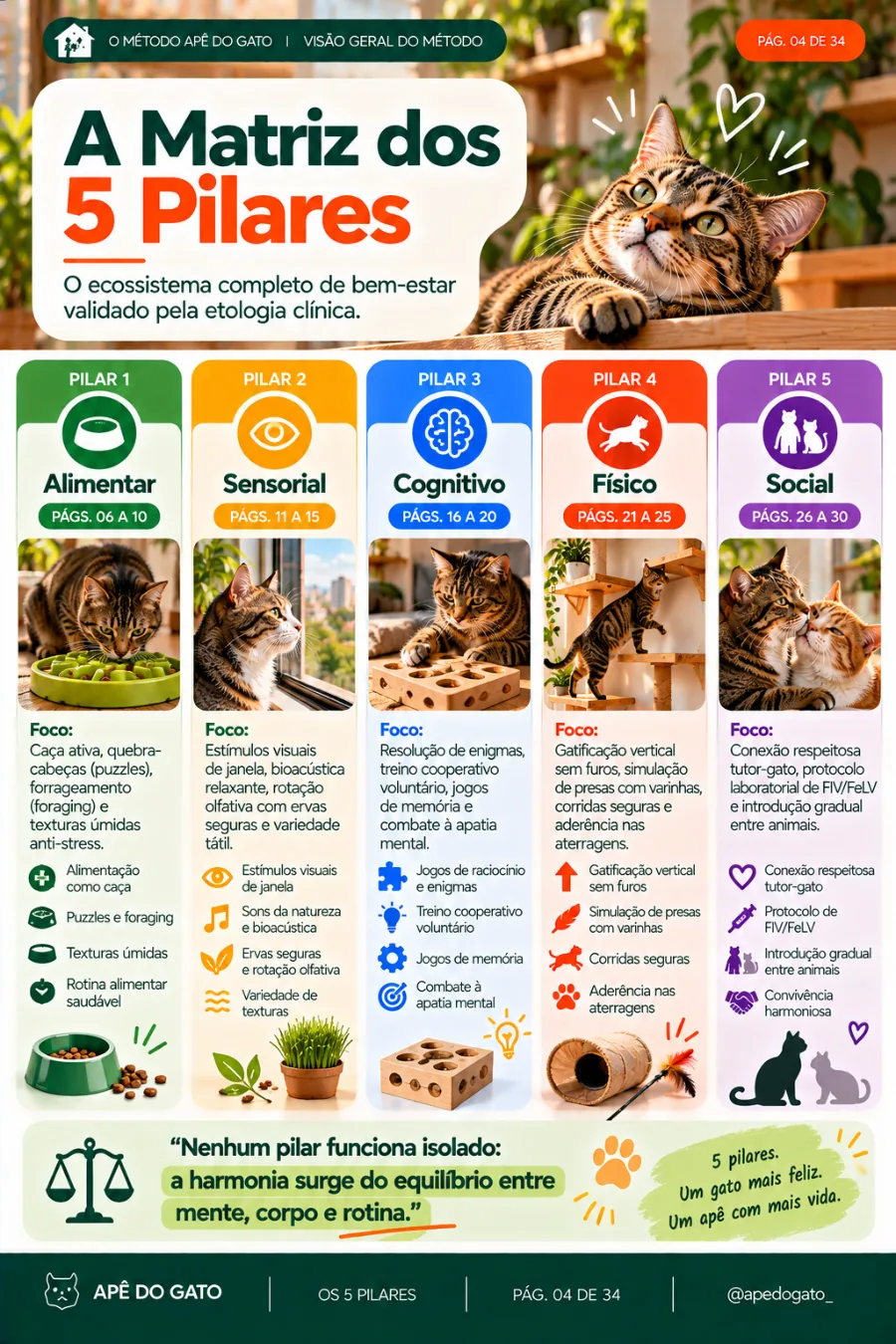 Página real do Método Apê do Gato: matriz dos 5 pilares